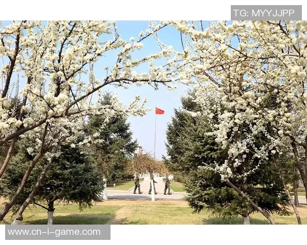 柯萱足球:青春拼搏的绿茵梦想与奋斗之路